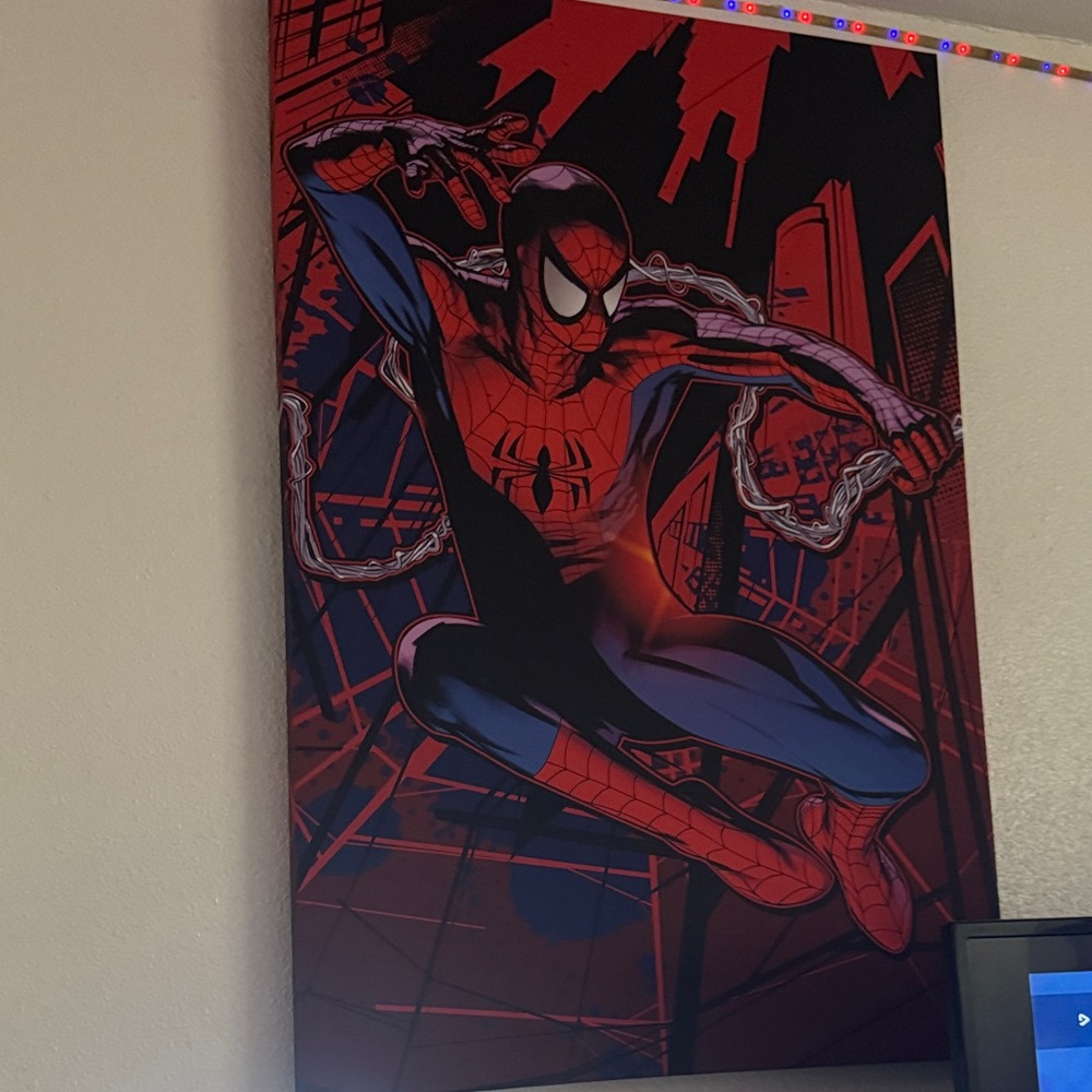 Spider-Man wall frame